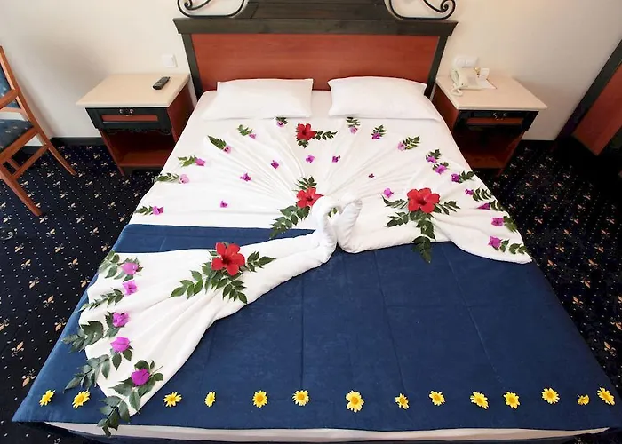 Hotel Club Cactus Paradise