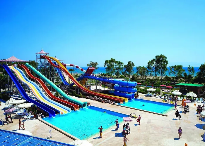 Club Cactus Paradise