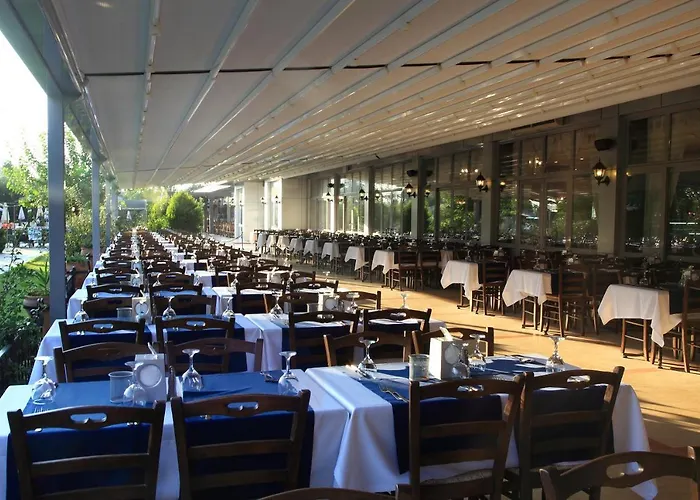 Club Cactus Paradise Hotel 4*