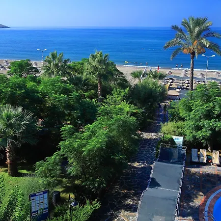 Club Cactus Paradise Hotell