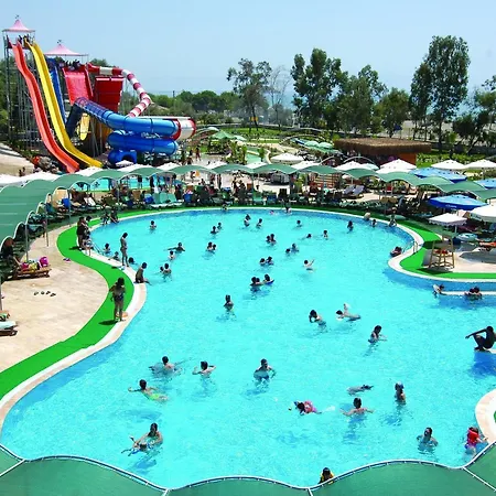 Club Cactus Paradise