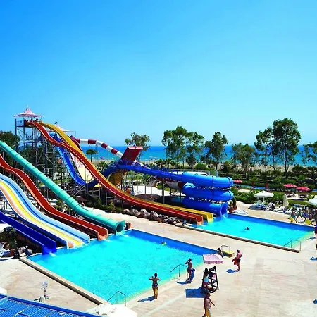 Club Cactus Paradise