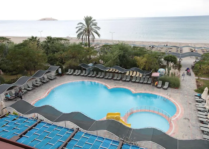 Club Cactus Paradise